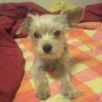 동거 10주년 기념 아껴둿던 초귀염 동안 얼짱 끼끼사진 풀어봅니다...