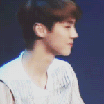 [EXO] 루한이움짤너무좋음