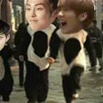 [EXO] 너네 사진 도용당한다 <b>조심</b>해