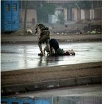 [추억파리여] 단 하나뿐인 <b>목숨</b>과 맞바꾼 전우애