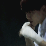 [EXO] 쟤는쟤고 나는 나고 백현팬들이 왜사과해야함