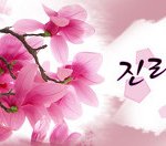 신천지뉴스와 <b>cbs</b>뉴스와의 차이점은 무엇일까요?