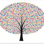 대구한방다이어트 <b>보리</b>의효능