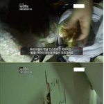 [소<b>오름</b>] (분노주의) 철없는 아들