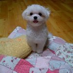 [똘리똘리] 여러분!!!!!!!!!! 주목 토리가 왔어요 =:)