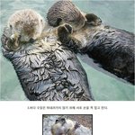 [콜로라도] 우리가 몰랐던 동물들의 <b>습성</b>