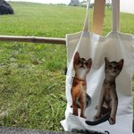 여행카페에서 판매하는 게스트하우스&amp;투어<b>상품</b>으로 성추행,성희롱을 당한 것...