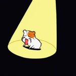 [시우민] 나는왜<b>사람인</b>거지.....ㅇㅅㅇ