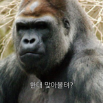 [EXO] 어그로년때문에 <b>만듬</b>