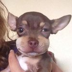 [EXO] 축구하는날은 왠지 막 먹어도 될거같어ㅜ