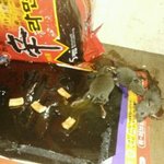 [EXO] <b>도도</b>한년