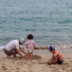 [사고뭉치네] 우리집 사고뭉치들을 소개합니다.11