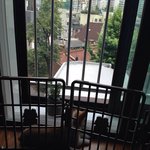 우리집 막둥이 라이..졸리개 <b>버젼</b>!!ㅎㅎ