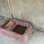 이것도 <b>명백</b>한 학대입니다 !