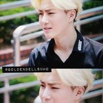 [EXO] 오늘 <b>플뷰</b> 애들 표정왜이래?
