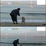 [<b>추억</b>파리여] 개를 가족으로 대한다는 것