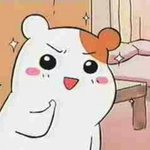 [EXO] @@@너네는 슈스케 언제가제일 재밌고 