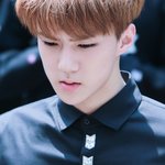 [EXO] 세훈이 입작은거봐 ㅠㅠㅠㅠㅠ