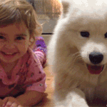 [틴펫스토리] 이래서 딸바보 딸바보 하는건가요.<b>gif</b>