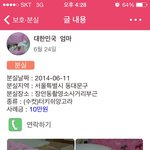 한국이를 찾습니다...