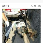 (사진있음) 안동악마오토바이사건 <b>서명</b>이 얼마 안남았습니다 도와주세요...