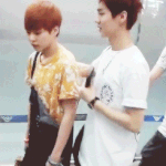 [EXO] 시우민 루한 <b>찬열</b> 다귀여워ㅋㅋㅋㅋㅋ