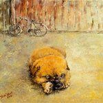 냥이 <b>강쥐</b>, 이쁜 사진을 보다가 올려봐요~