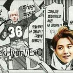 [EXO] 그래요 팩트만 깔게