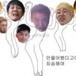 [블락비] 여기꿀벌들다