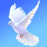 [새하늘새땅] 신천지, 평화 평화로<b>다</b> 하늘 <b>위</b>에서 내려오네!