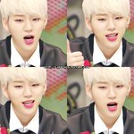 [블락비] 찌호 이날ㄹ 둉말