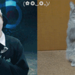 [시우민] 시우민 <b>vs</b> 슈냥이