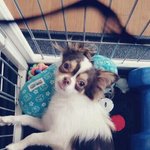 [비스트] 오늘 하루도 <b>상큼</b>하겤ㅋㅋㅋ