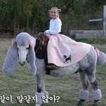 [EXO] 내말이말같지않아?