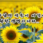 신천지 군산교회에서 말하는 <b>위장</b>교회의 참 의미는?
