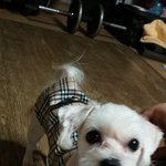 사랑이찾아주세요