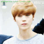 [EXO] 루한하고 <b>말다툼</b>하다가