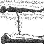 <b>유체</b>이탈 박근혜, <b>유체</b>이탈 새누리당