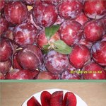 [답변부탁] 피자두 구할곳 없을까요?