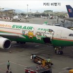 재미있는 특이한 비행기 도색 모음