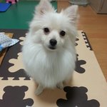 여름철 <b>사료</b> 관리 어떻게 하세요??