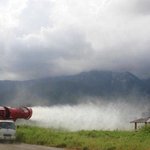 [콜로라도] 올해 해충들은 다 <b>박멸</b>할 기세