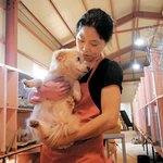 패쇄 위기에 몰린 천안 유기동물 보호소...가여운 아이들을 위해...