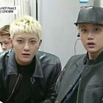 [EXO] 어그로 ㅈㄴ 많아 짜증나게