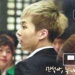 [시우민] 시우민의 햄찌햄찌한 <b>옆선</b>..