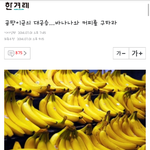 [귀여운댓글] 네이버기사 귀여운댓글 ㅋㅋ