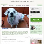 예삐를 위한 공짜 기부 9일 남았네요. ㅠㅠ