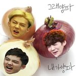 [EXO] 니네 그거 기억나냐ㅋㅋㅋㅋ<b>양파</b>대란ㅋㅋㅋ