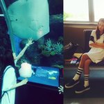 [<b>2ne1</b>] 산다라박, 백팩하나 질끈 매고 일본, 홍콩 관광하다라ㅎㅎ