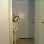 [인피니트] 나 물어볼게 있어